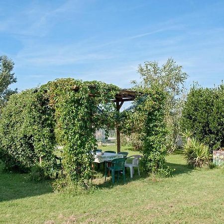 B&B Casa Betulla Pisa Eksteriør bilde